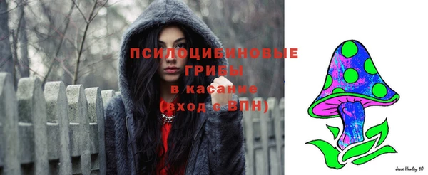 apvp Арсеньев