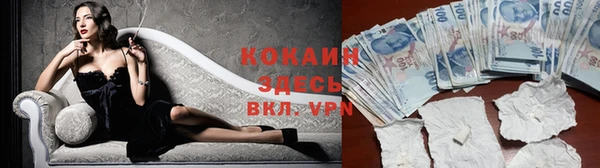индика Нефтегорск